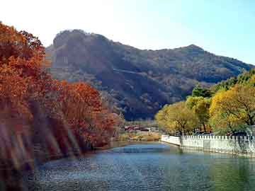 正版澳门天天开彩大全，地参果